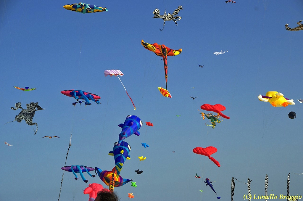 32 FESTIVAL CERVIA 2012 - 094.jpg